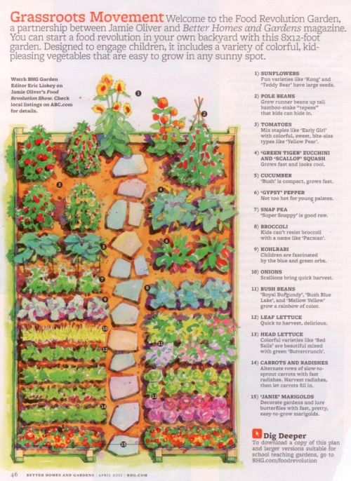 a garden plan with different types of plants and flowers in the center, along with instructions on how to plant it