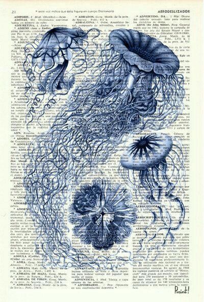 an old book page with jellyfish and seaweed