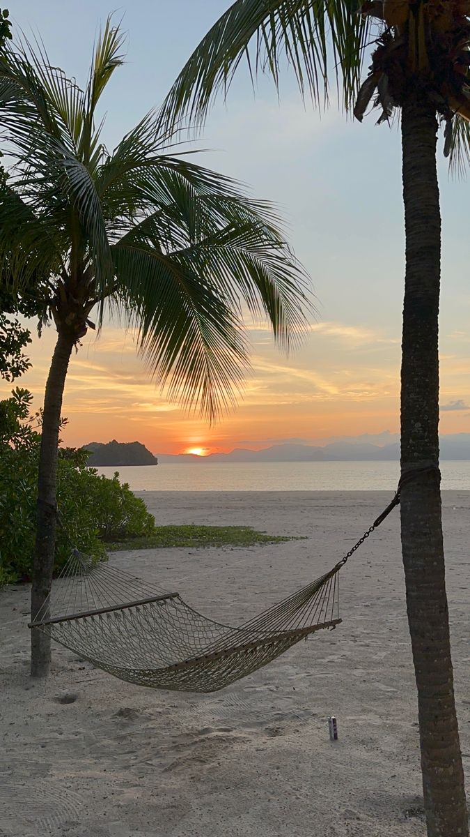 a hammock hanging between two palm trees on the beach at sunset or dawn