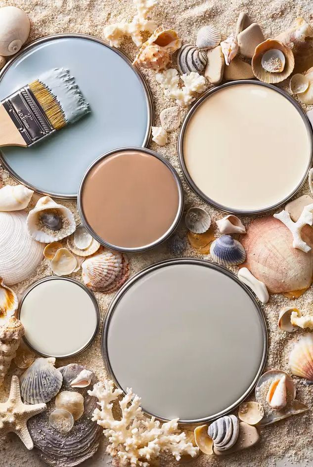 three paint cans and two brushes are on the sand with seashells around them