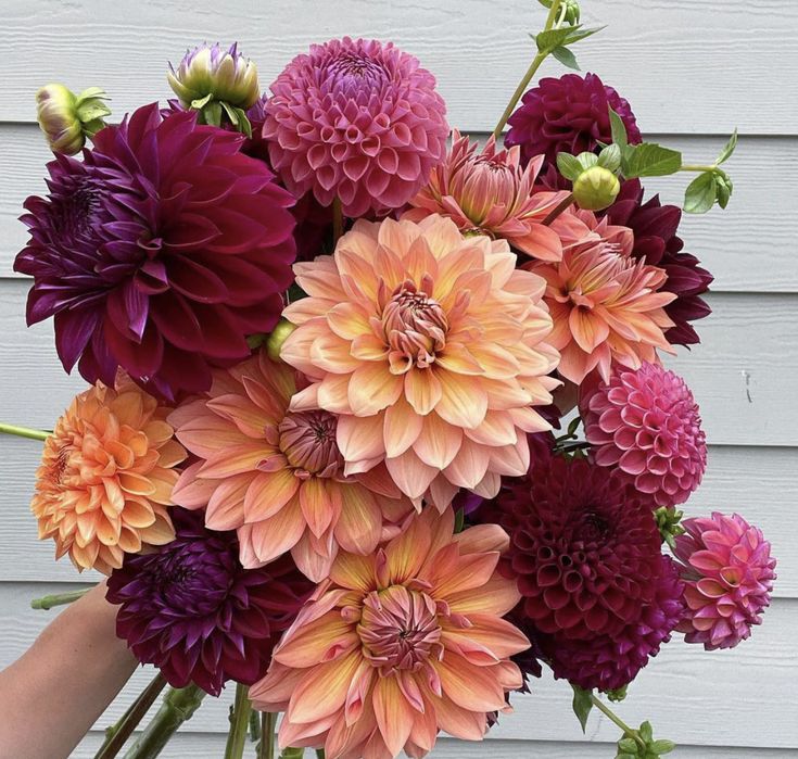 a person holding a large bouquet of flowers