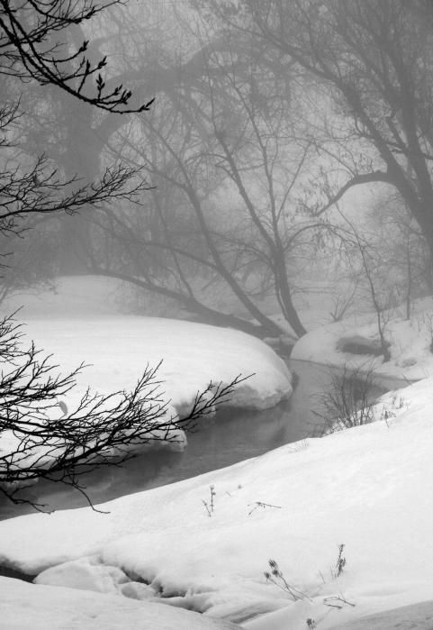 a river running through a snow covered forest