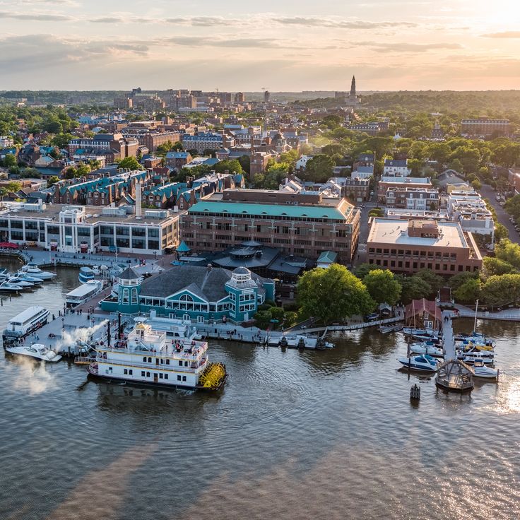 an aerial view of boats docked in the water near buildings and trees, at sunset