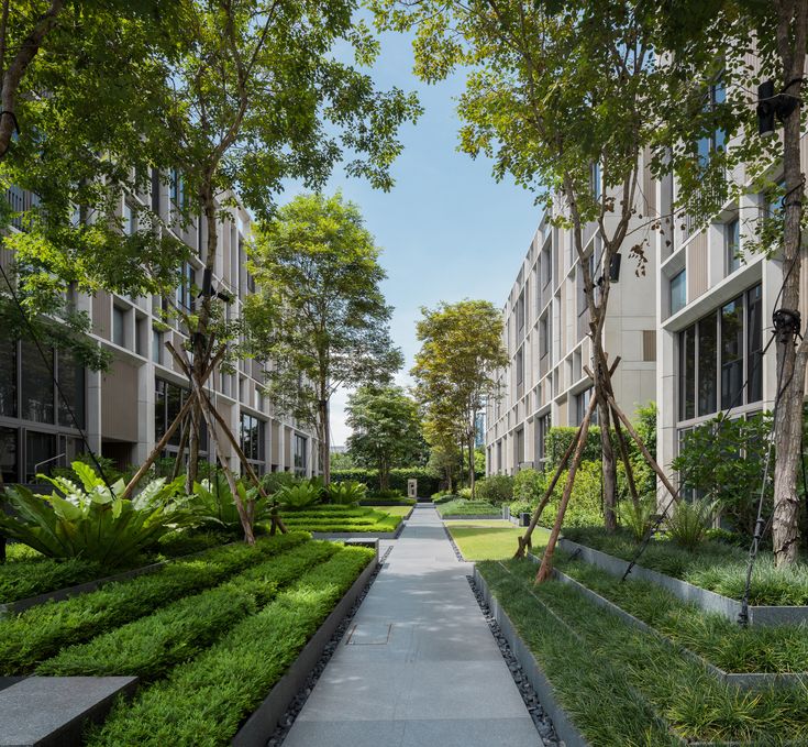 the walkway is lined with trees and plants in front of apartment buildings on both sides