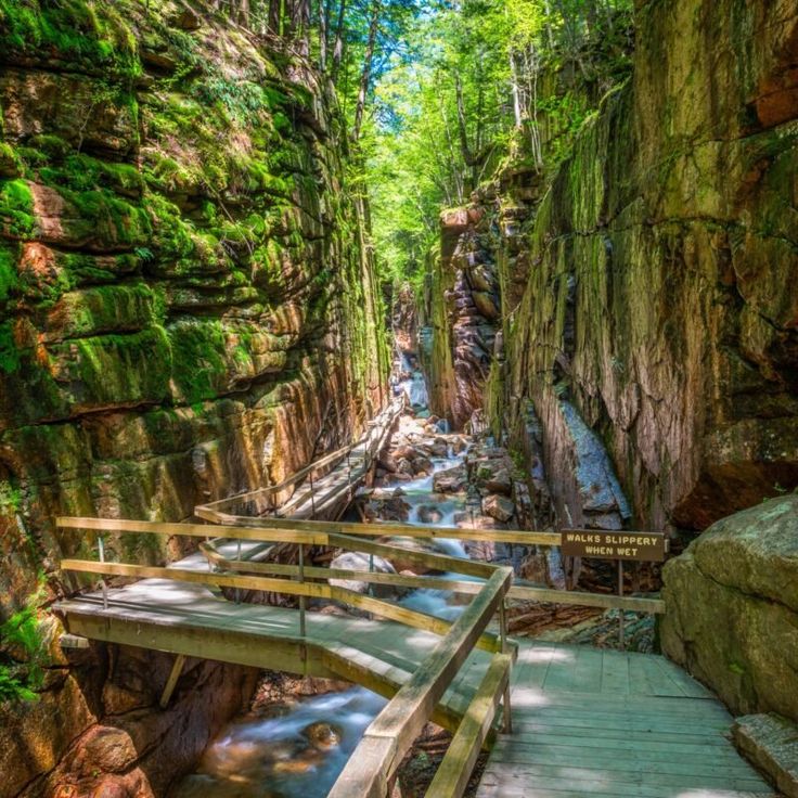 a wooden bridge over a small stream in a forest filled with green trees and rocks