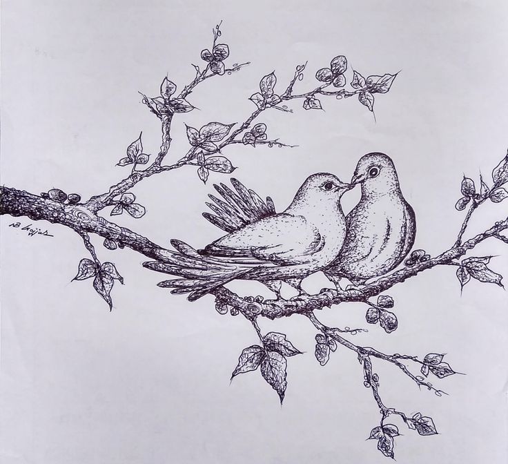 two birds sitting on top of a tree branch next to leaves and branches with flowers