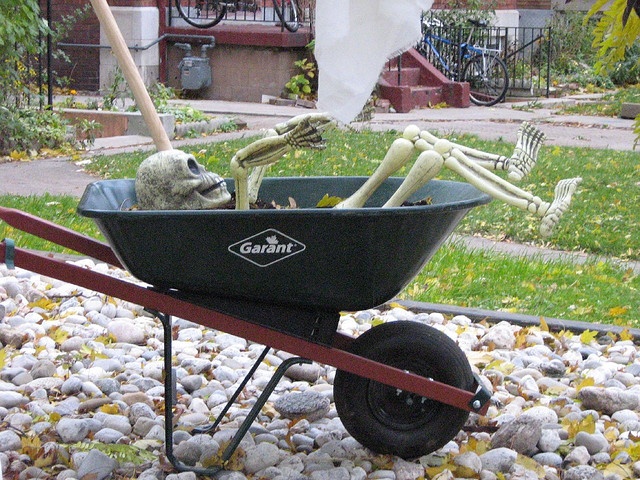 there is a wheelbarrow with skeletons in it