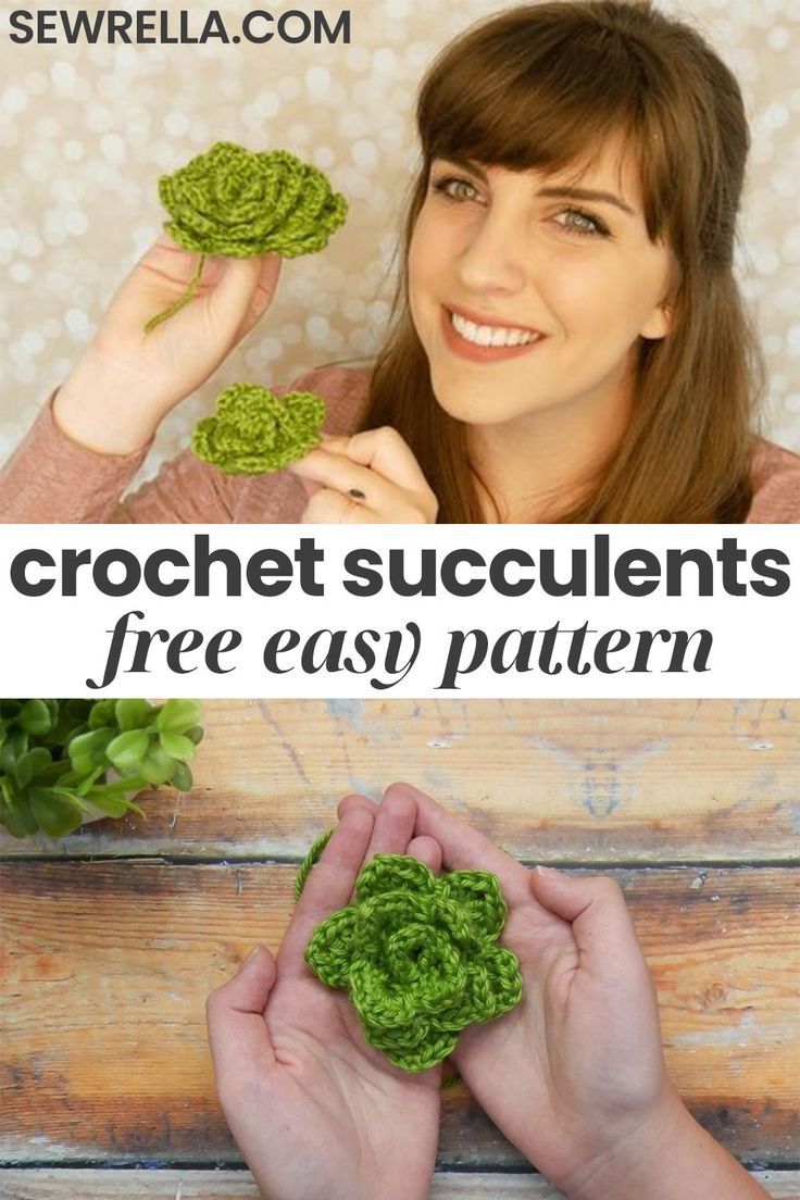 the cover of crochet succulents, featuring two hands holding green leaves