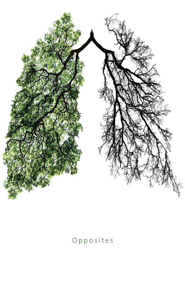 the lungs are made up of trees and branches, with words that read opposites