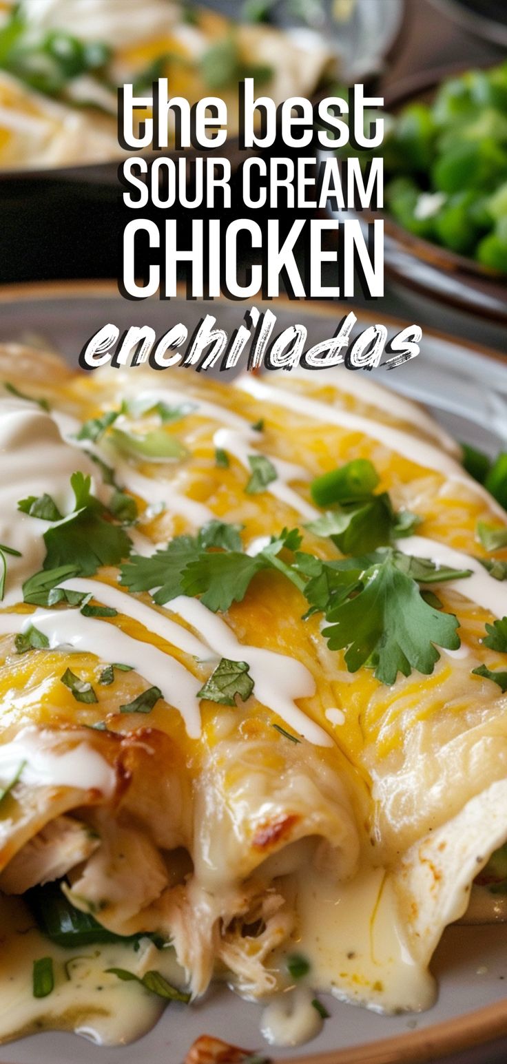 the best sour cream chicken enchiladas are made with shredded cheese and cilantro