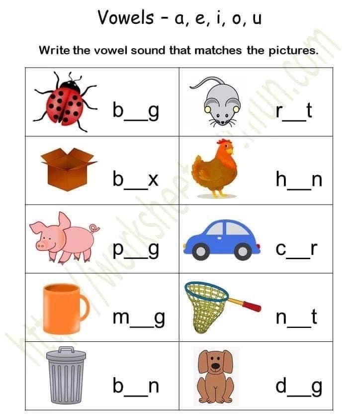 worksheet with words and pictures to help students learn the letter sounds in english