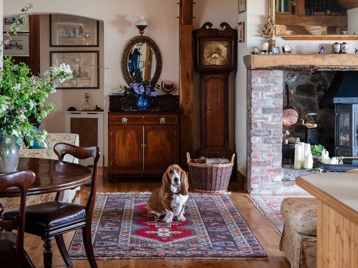 a dog sitting on top of a rug in a living room next to a fireplace