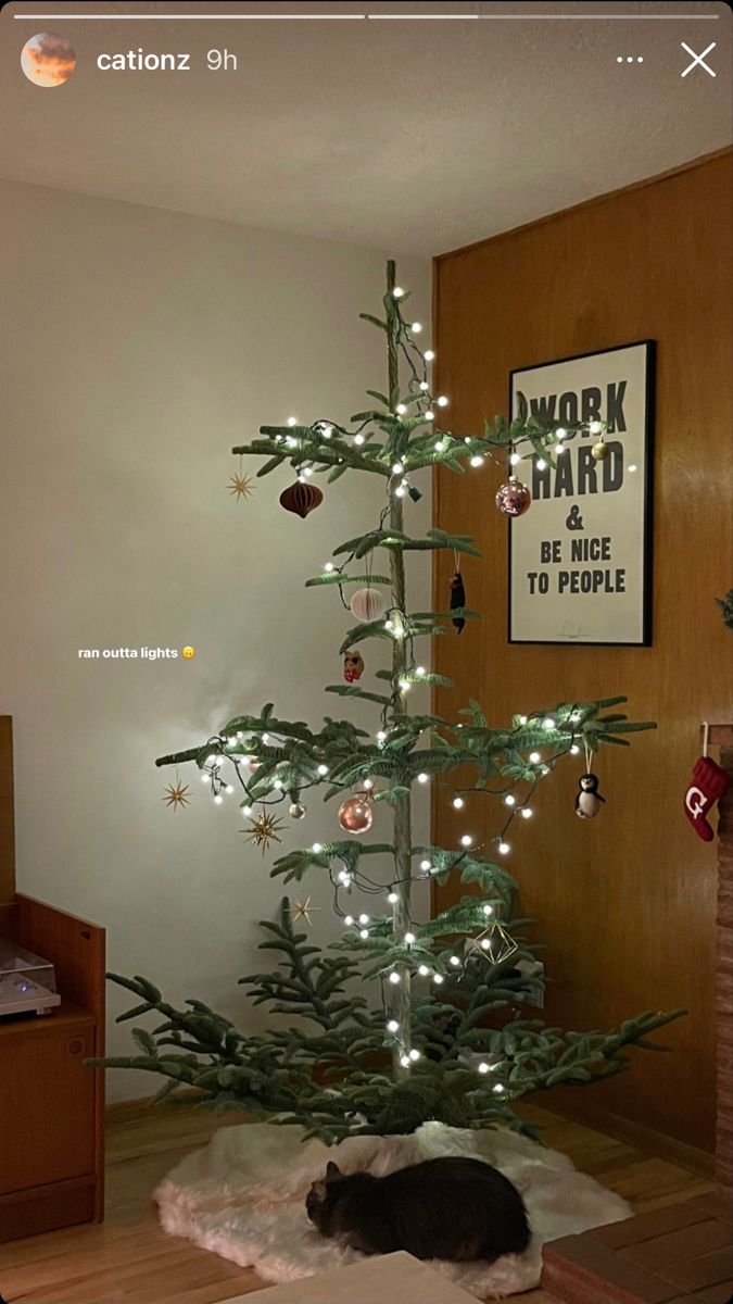 a cat sleeping under a christmas tree in a living room with lights on the branches