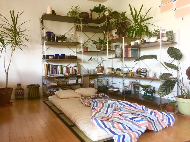 a bed sitting on top of a wooden floor next to a shelf filled with potted plants