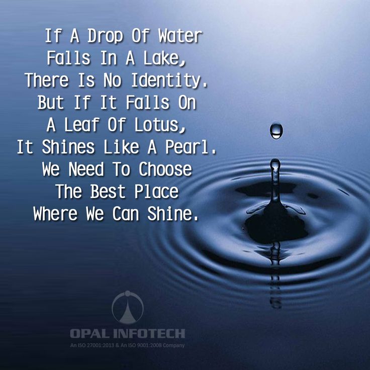 a quote from opal infotech about water