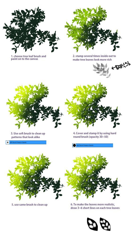 some green plants are shown in this graphic art workflowe, with the text below it