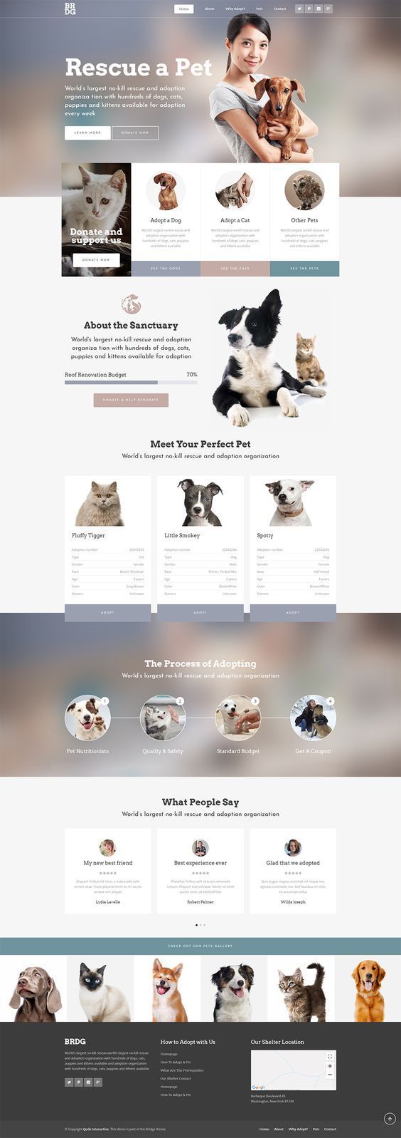 an image of a cat and dog shop website page with multiple screenshots on it