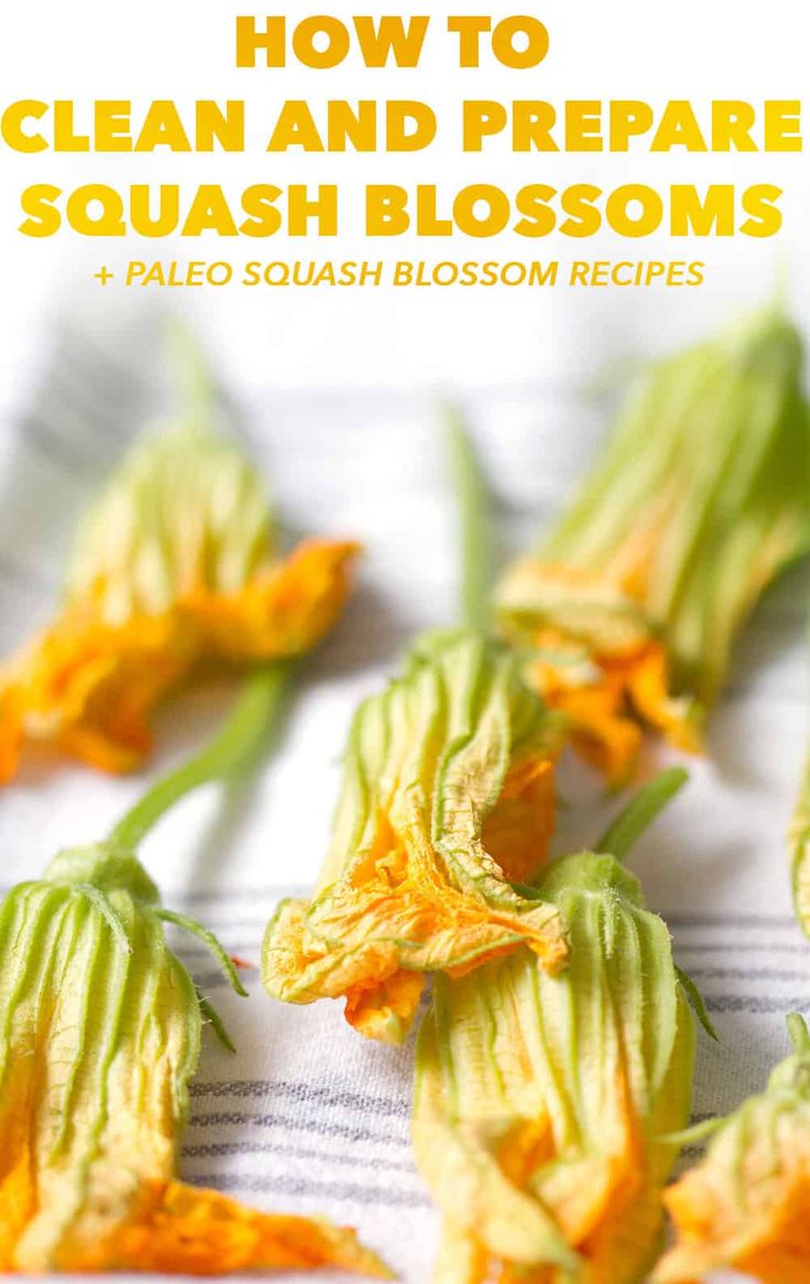 how to clean and prepare squash blossoms with palen, orange - colored blossom petals