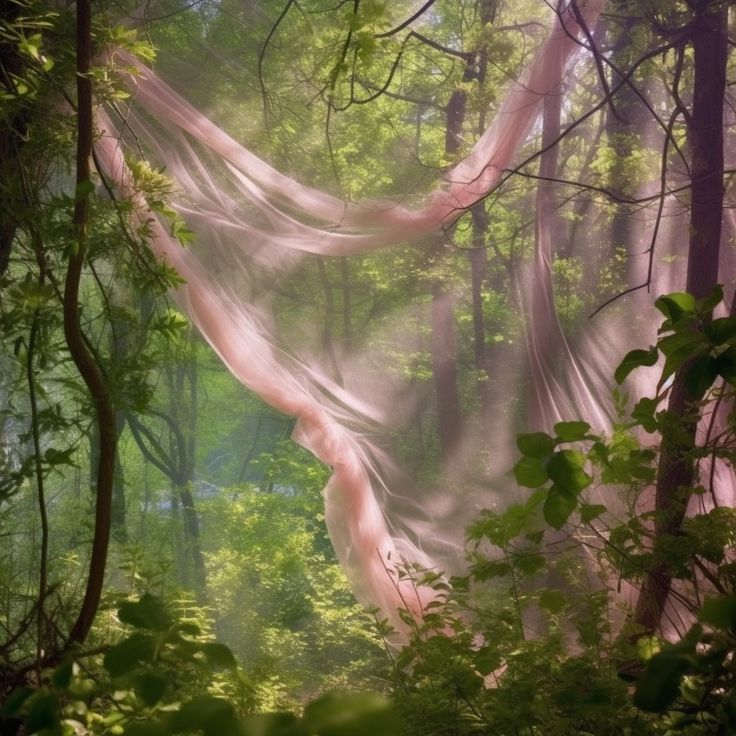 the light is shining through the trees in the foggy forest with sheer fabric draped over them