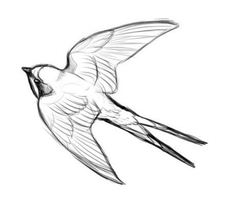 a drawing of a bird flying in the air