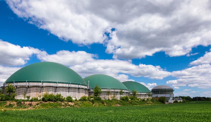 two large green domes sitting on top of a lush green field