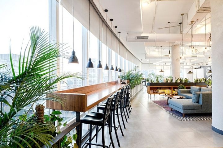 a long bar with lots of chairs and plants in the corner, along with large windows