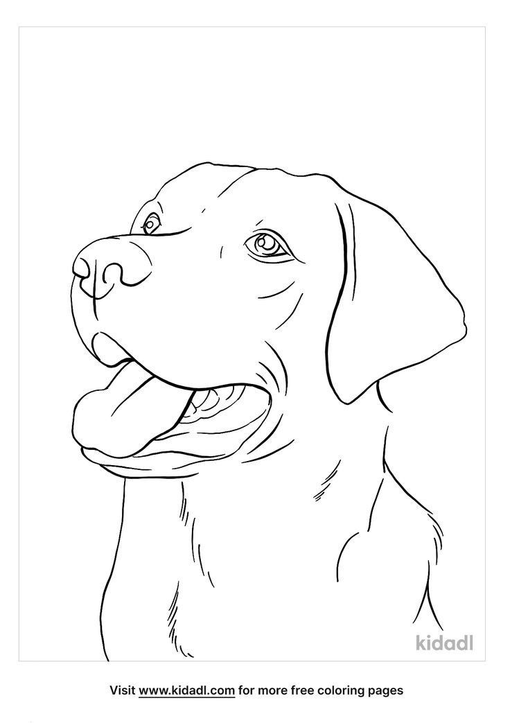 a black and white drawing of a dog's face with its tongue hanging out