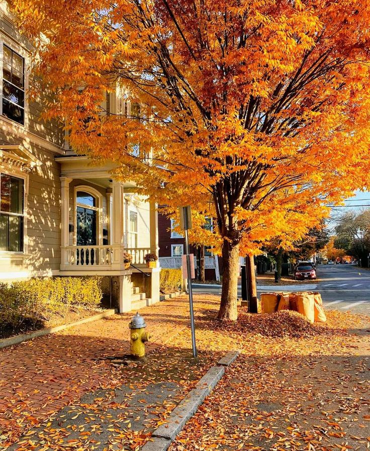 a yellow fire hydrant sitting in front of a tree with orange leaves on it