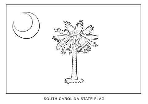 the south carolina state flag with a palm tree and moon in the sky behind it