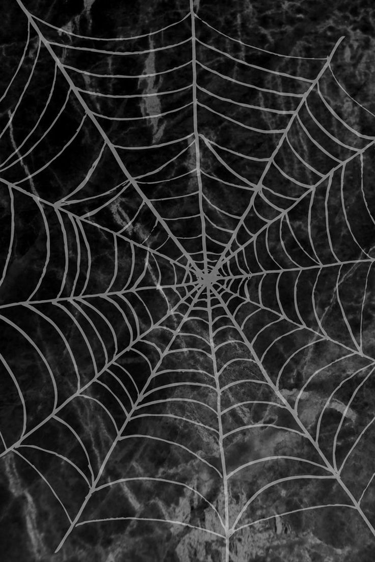 a spider web is shown in black and white