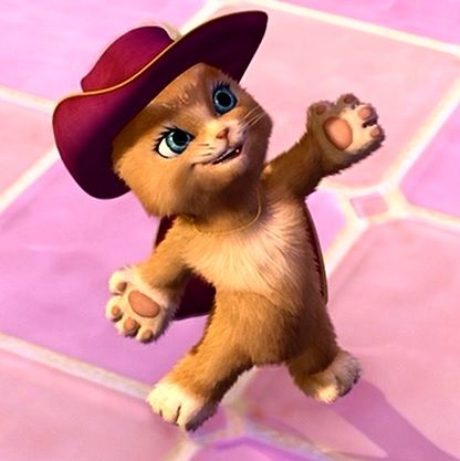 a small kitten wearing a red hat on top of a pink tile floor with its paws in the air