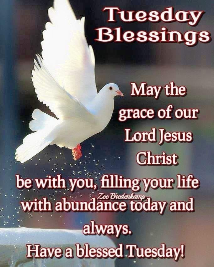 a white dove flying in the air with words above it that says, today blessing