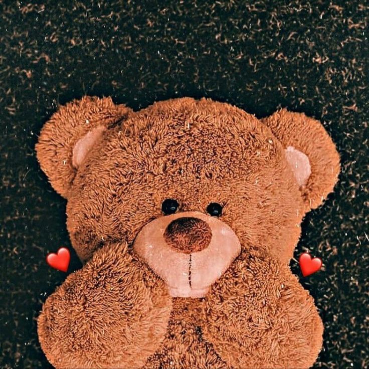 a brown teddy bear with hearts on its chest