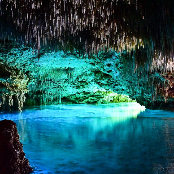 the inside of a cave with blue water and moss hanging from it's ceiling