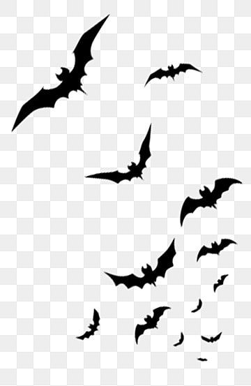 a group of bats flying in the sky, silhouetted against a white background with black outline