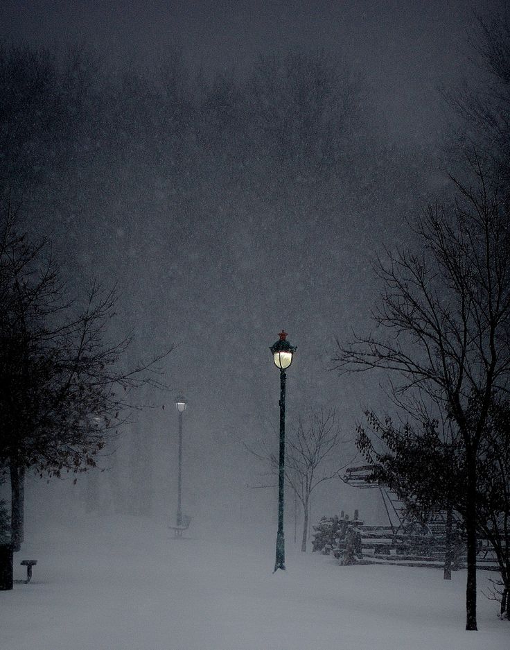 a street light sitting in the middle of a snow covered park