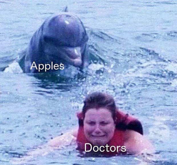 two people swimming in the water with an elephant and a dolphin behind them that says apples doctors