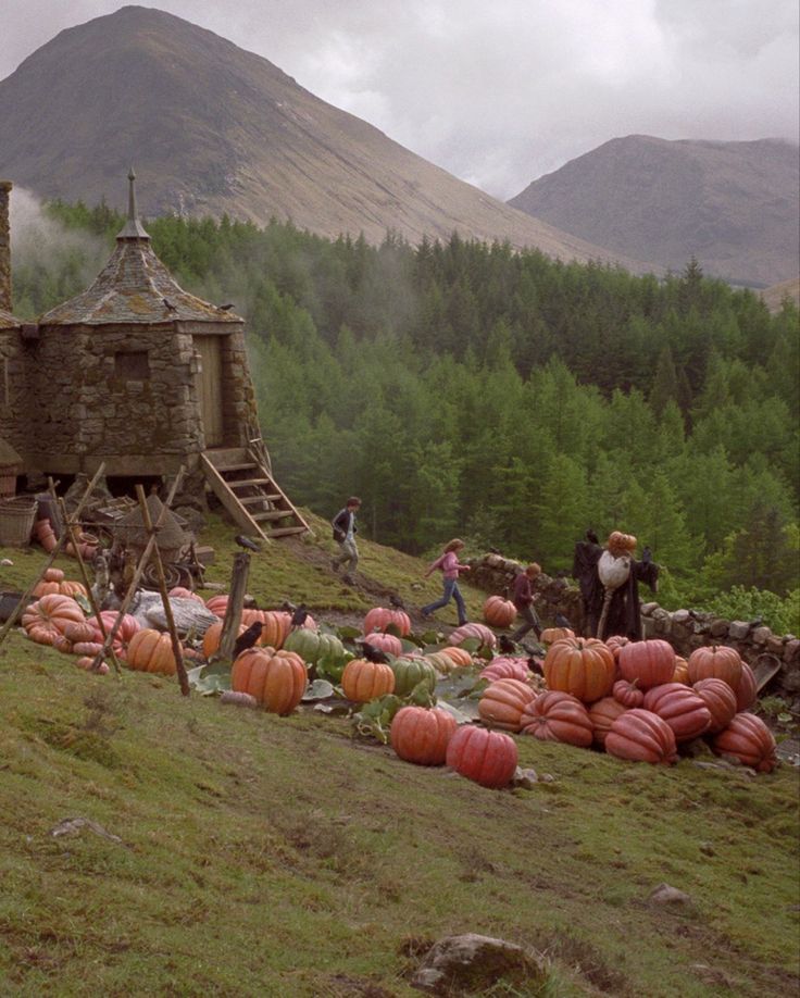 pumpkins and gourds lay on the ground in front of an old stone house