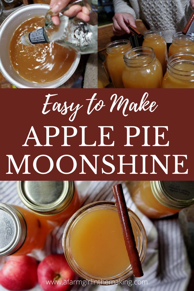 easy to make apple pie moonsshine recipe