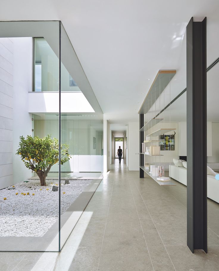 a person walking down a long hallway with glass walls on both sides and a tree in the middle