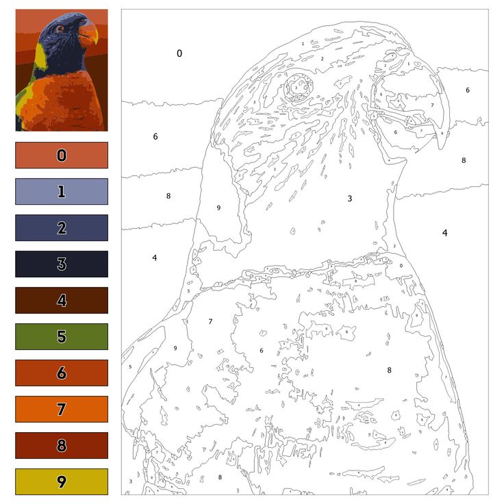 a coloring page with an image of a bird on it's head and numbers in the bottom left corner