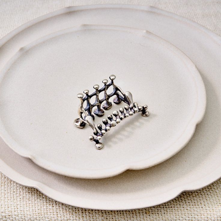 a close up of a plate with a ring on it