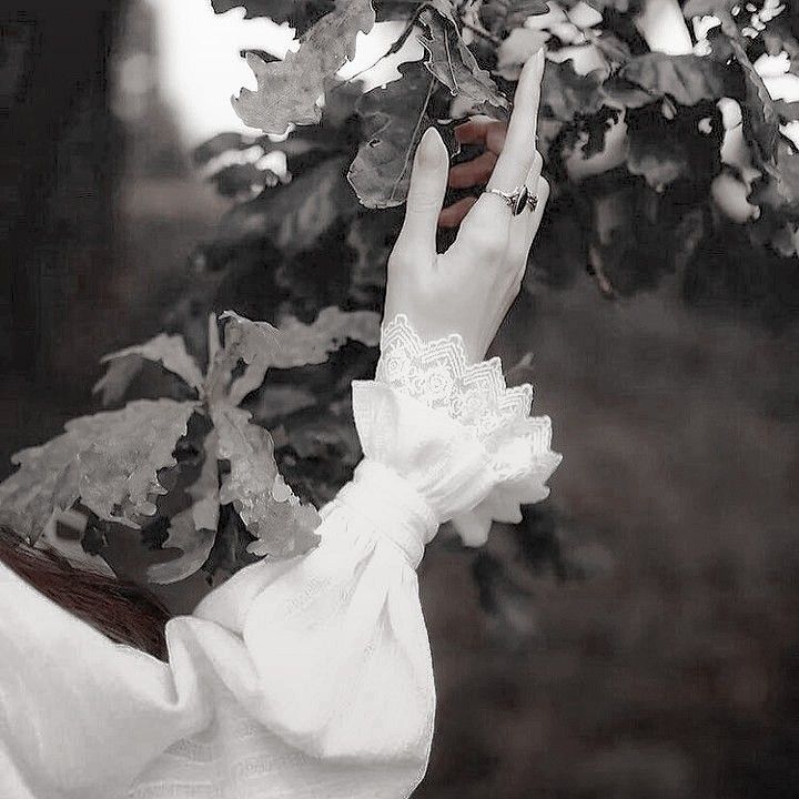 a woman reaching for leaves from a tree