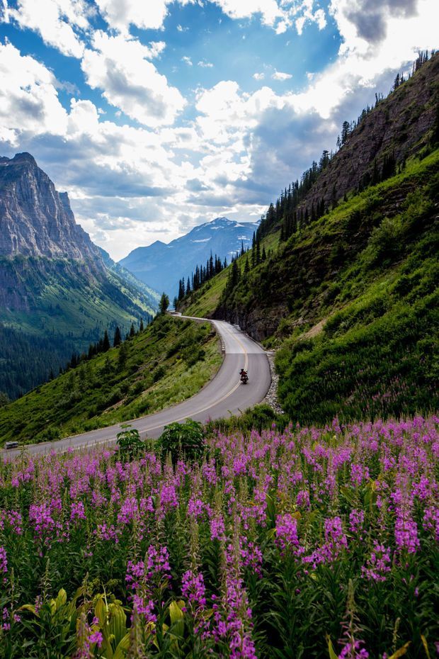 a motorcycle is driving down a road in the mountains with wildflowers on both sides