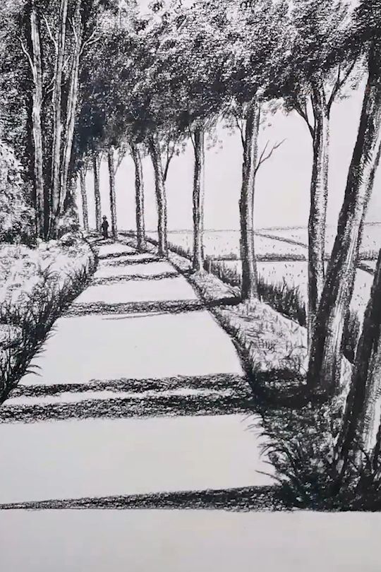 a black and white drawing of trees on a path