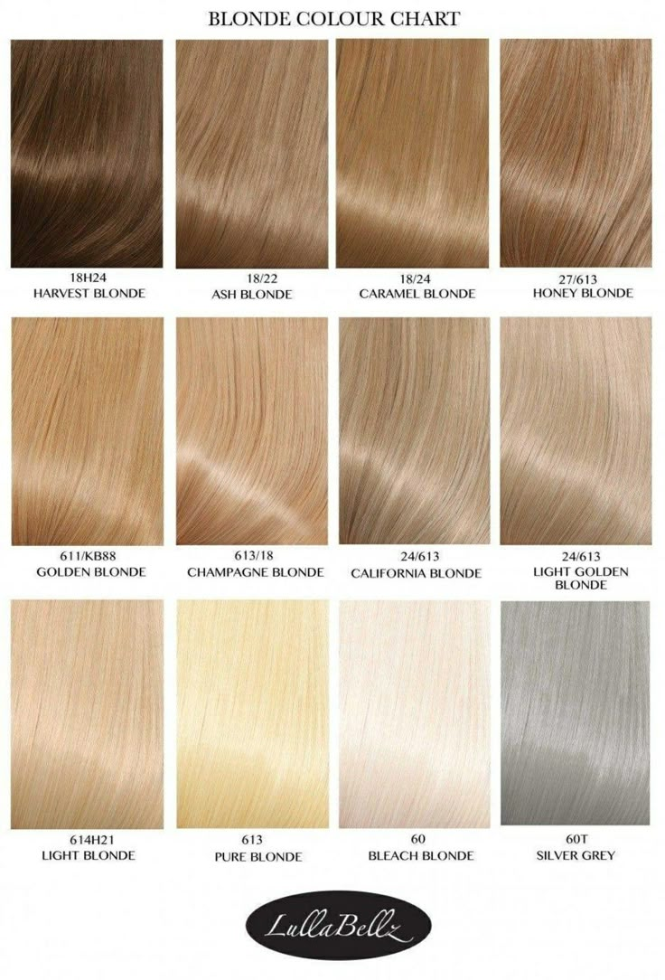 Blond Shades Of Hair, Light Sandy Blonde Hair, Going From Blonde To Brown, Champagne Blond, Blonde Hair Color Chart, Cosmo School, Champagne Blonde Hair, Honey Blonde Hair Color, Honey Hair Color