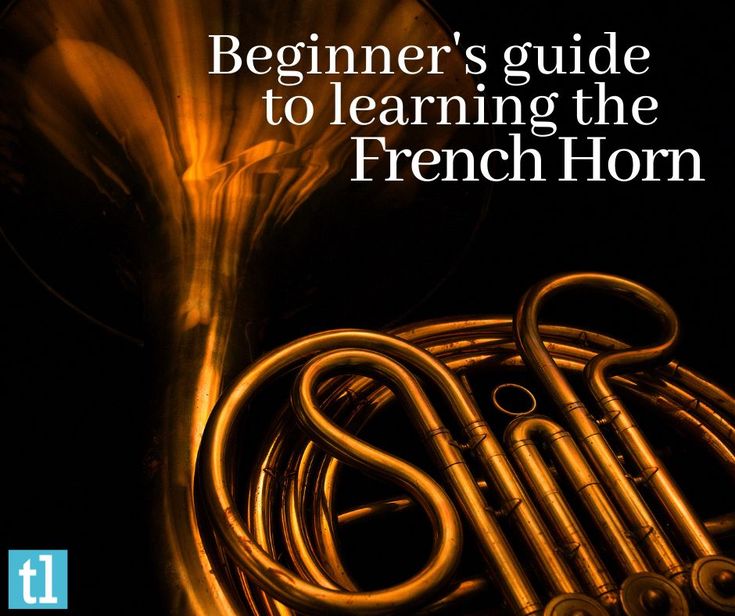 the beginner's guide to learning the french horn