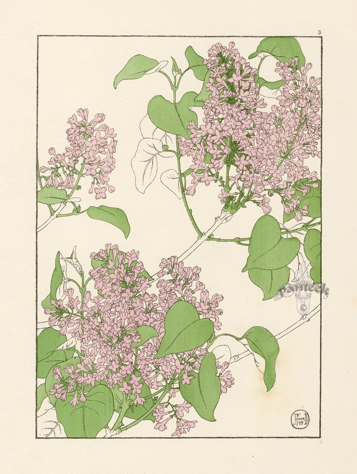 a drawing of pink flowers and green leaves