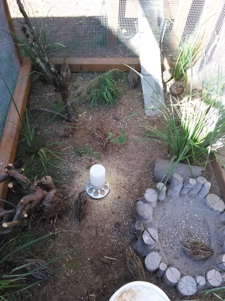 an outdoor fire pit surrounded by rocks and gravel in a garden area with grass growing around it