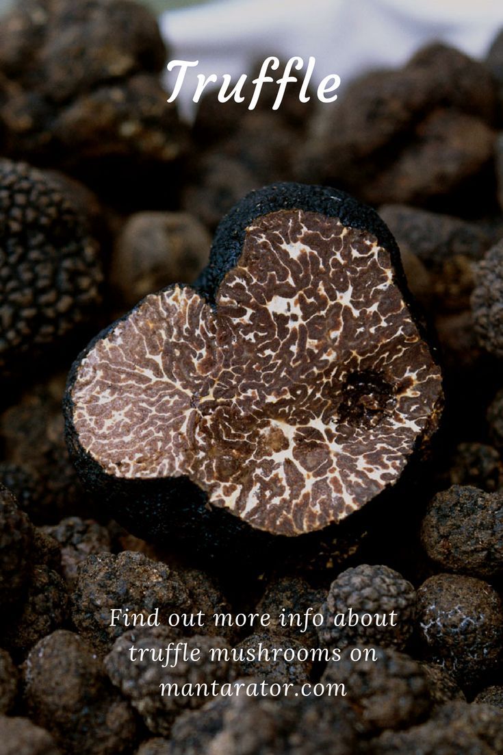 a close up of rocks with the words truffle on it and an image of a